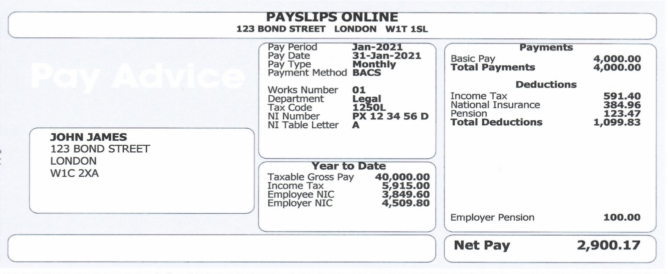 Blue / White Payslip With Employee Address - Bl2